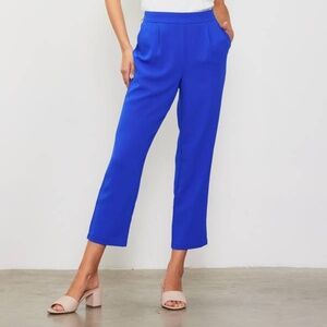 NWT tapered leg pants Skies are Blue